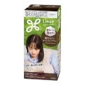 花王　リーゼ　泡カラー　髪色もどし　ナチュラルブラウン１１５ｍｌ