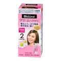 花王　ブローネ　クリームヘアカラー　２　より明るい栗色１セット