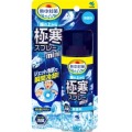 小林製薬　服の上から極寒スプレー　ミニ無香料　９３ｍｌ