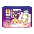 小林製薬　桐灰 寝るときデコルテカイロ８枚入り（４回分）