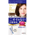 ダリヤ　サロンドプロ　無香料ヘアカラー早染めＣ（白髪用）　５