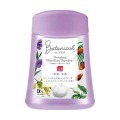 レキット　ミューズ　ノータッチ泡ハンドソープ　ボタニカルつめかえ２５０ｍｌ
