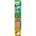 小林製薬　生葉　極幅ブラシ　ふつう　１本