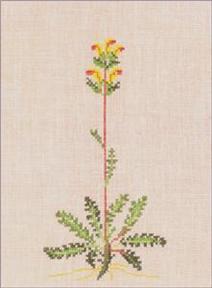 〔Fremme〕　刺繍キット　30-4317T※　＜訳ありセール　20％OFF＞