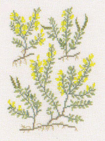 〔Fremme〕　刺繍キット　30-4317Z※　＜訳ありセール　20％OFF＞