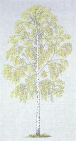 〔Fremme〕　刺繍キット　30-5709_02