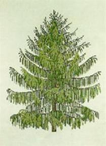 〔Fremme〕　刺繍キット　30-6034