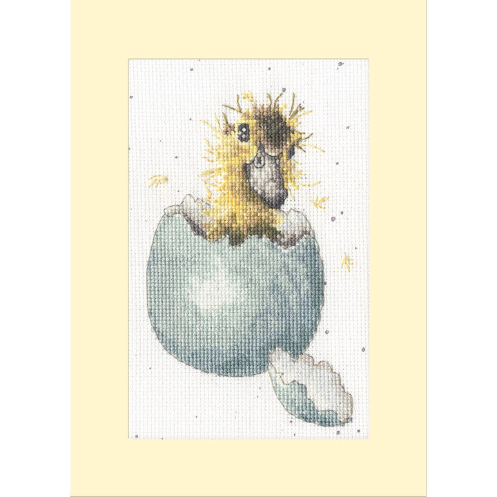 〔Bothy Threads〕　刺繍キット　XGC48（箱）