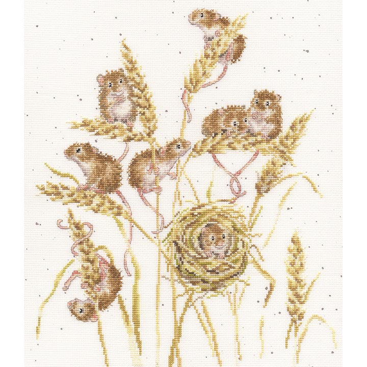 〔Bothy Threads〕　刺繍キット　XHD151（箱）