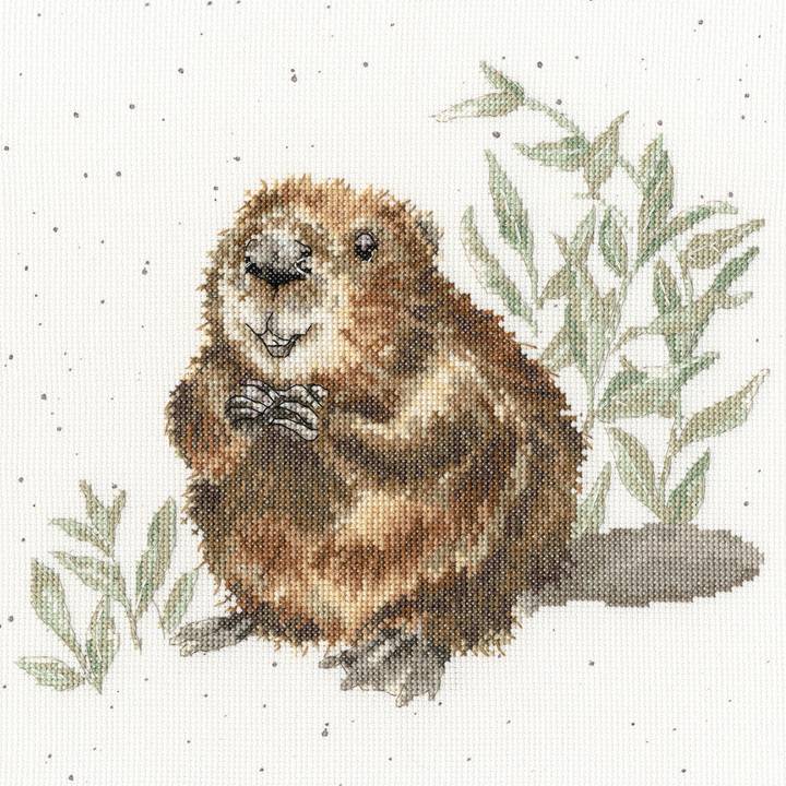 〔Bothy Threads〕　刺繍キット　XHD166（箱）