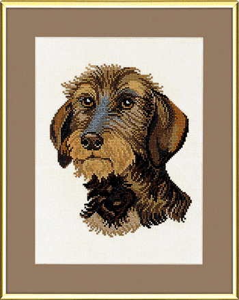 〔Eva Rosenstand〕　刺繍キット　E12-908