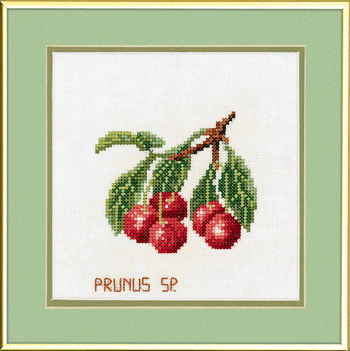 〔Eva Rosenstand〕　刺繍キット　E12-960