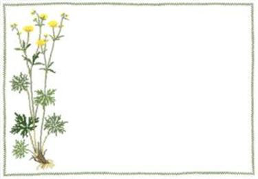 〔Fremme〕　刺繍キット（14-4515.01～12）/＃14-4515.01