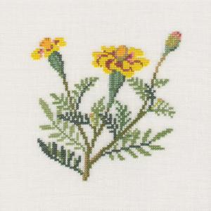 〔Fremme〕　刺繍キット（17-3324.01～12）/＃17-3324.06