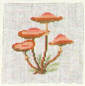 〔Fremme〕　刺繍キット　17-5412