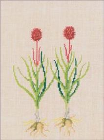 〔Fremme〕　刺繍キット　30-4317R※　＜訳ありセール　20％OFF＞