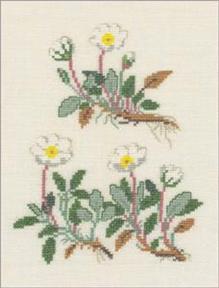 〔Fremme〕　刺繍キット　30-4317S※　＜訳ありセール　20％OFF＞