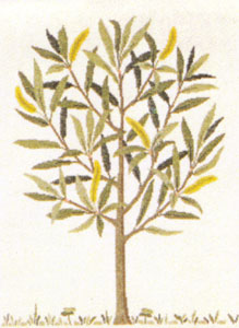 〔Fremme〕　刺繍キット　30-4837　☆