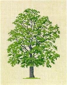 〔Fremme〕　刺繍キット　30-6027