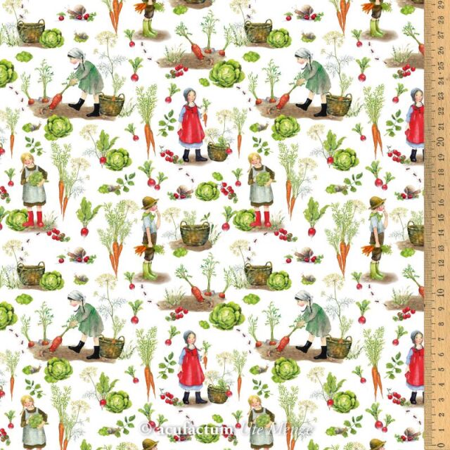 **〔Acufactum〕　A-3523-813　生地 / 収穫期