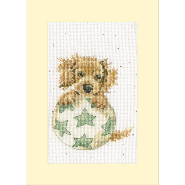 〔Bothy Threads〕　刺繍キット　XGC47（箱）