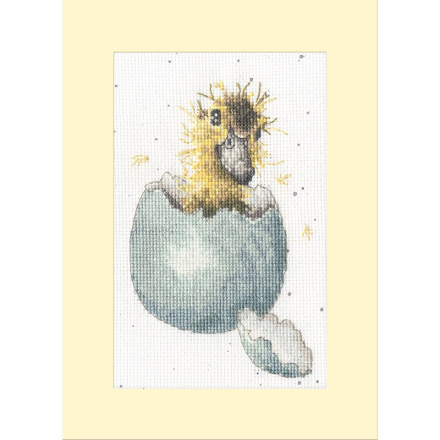 〔Bothy Threads〕　刺繍キット　XGC48（箱）