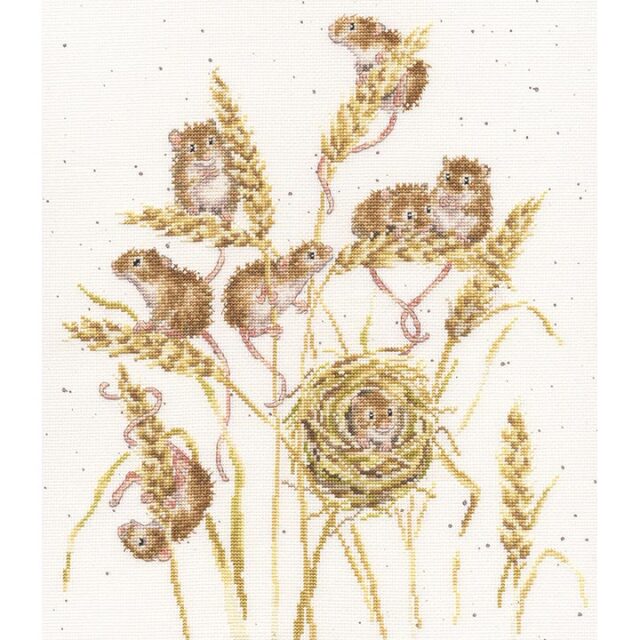 〔Bothy Threads〕　刺繍キット　XHD151（箱）
