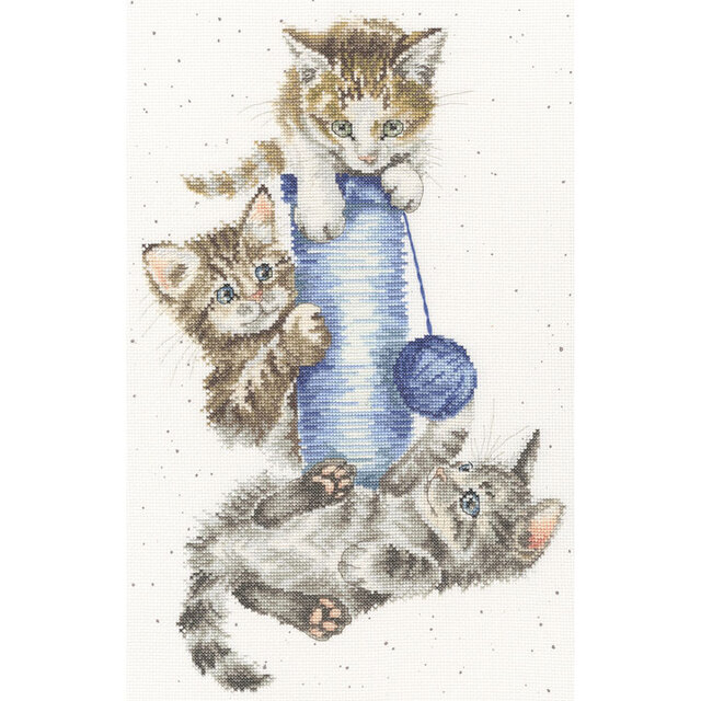 〔Bothy Threads〕 刺繍キット XHD154(箱)<Happy Point 5倍>