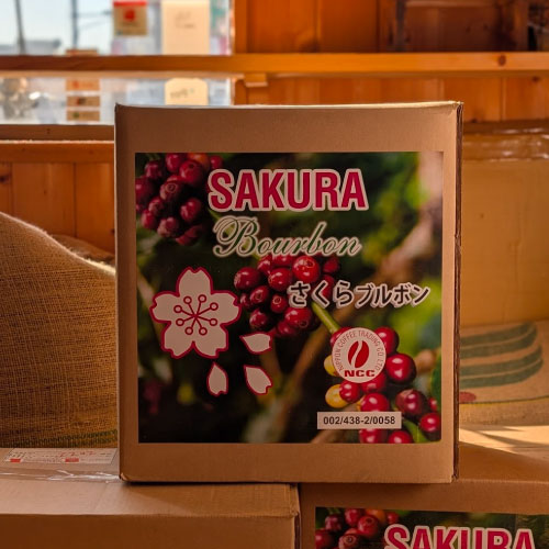 ブラジル　サンタルジア農園　さくらブルボン