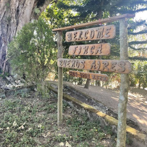 ニカラグア　ブエノスアイレス農園　ブルーティアーズ/フリーウォッシュド