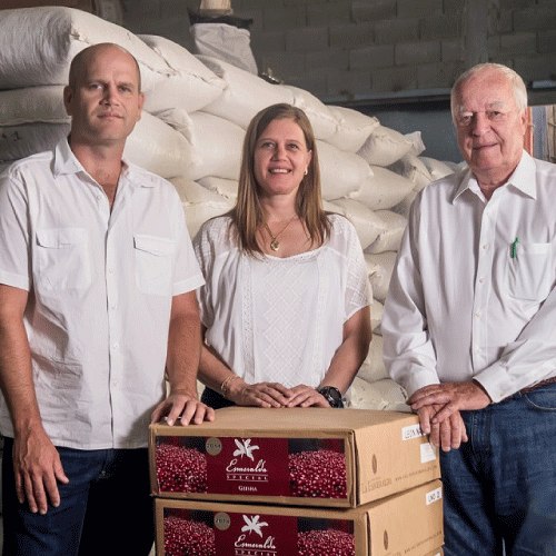 【TOP SPECIALTY】パナマ　ラ・エスメラルダ農園　ダイヤモンドマウンテン