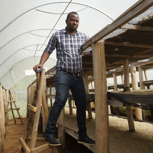 ルワンダ　ニャマシェケ　カンズCWS　レッドブルボン / ウォッシュド