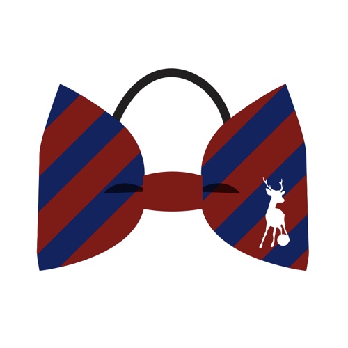 奈良クラブ ヘアリボン