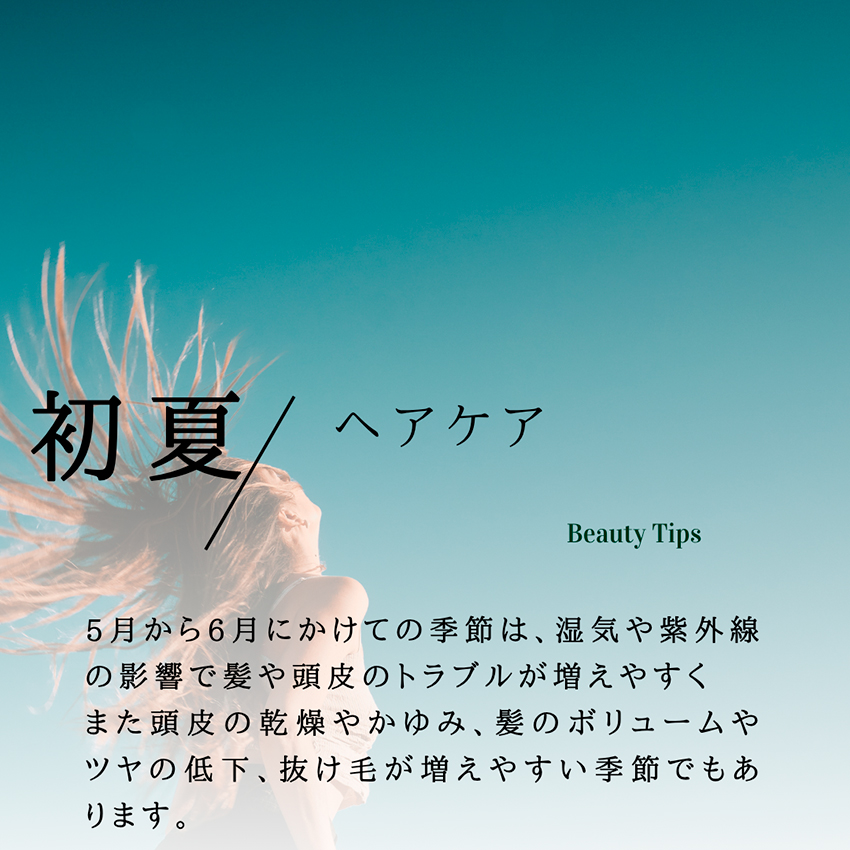 美容コラム「初夏/ヘアケア」