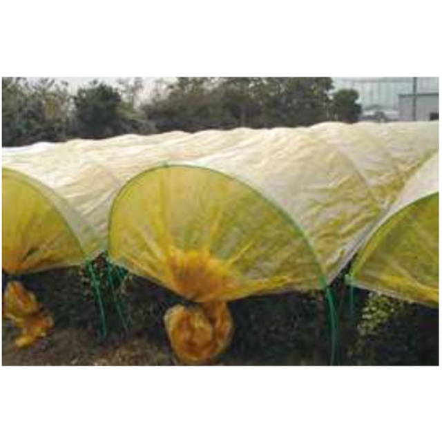 バロンニューシモレス