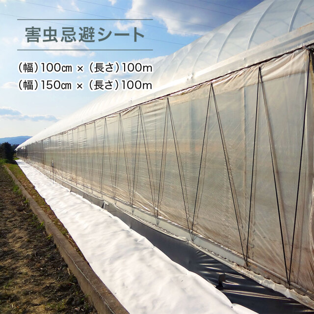 虫フラッとシート