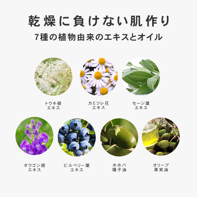 炭酸と発酵の導入美容液