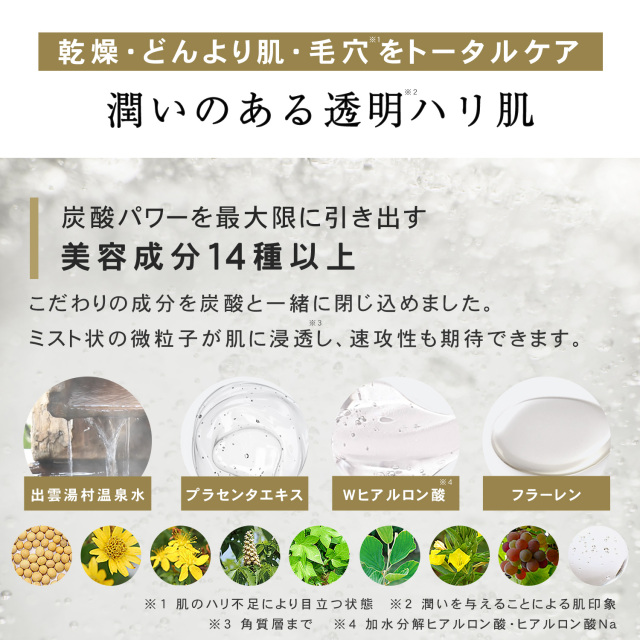 RaFa 炭酸ミスト たった3秒本格炭酸エステ 炭酸100％ミスト