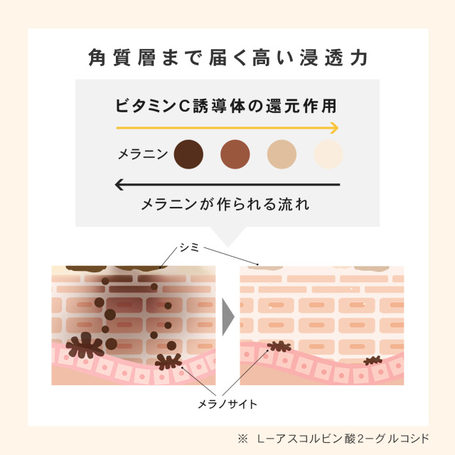 ★PLUS VCホワイトニングローション 200ml★その他3点セット★ 高保湿・美白VCローション