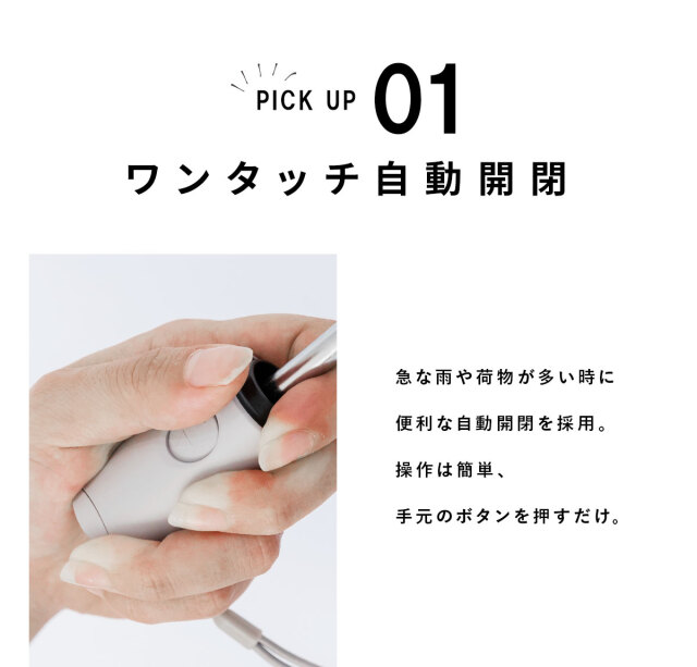 レディース雨傘