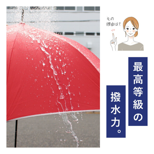 レディース雨傘