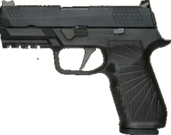 WE Wilson Combat カスタム WCP320 Carry