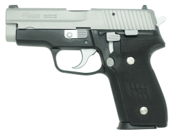 タナカ SIG P228 Two-Tone　EVO2 frame HW  モデルガン