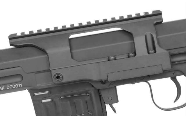 KIZUNA WORKS Sureshot Armament Groupタイプ SVD ローサイド