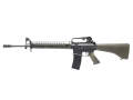 DNA ROC T65K2 Rifle GBBR 中華民国軍65式小銃 (Limited Product)