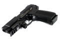 Raptor MP-443