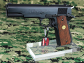 SAA ハンドガン用アクリルガンスタンド シングルカラムタイプ