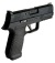 WE Wilson Combat カスタム WCP320 Carry