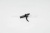 IRON AIRSOFT Geissele SSP Curved Bowタイプ スチールトリガー GHK M4 GBB対応