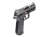Para Bellum  P320 PRO WC Custom GBB 3.9in (Titanium Gray)